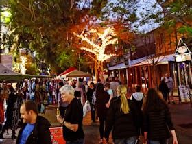 alice springs town council events